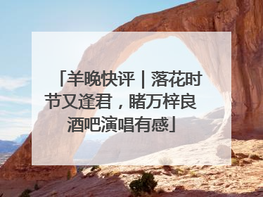 羊晚快评｜落花时节又逢君，睹万梓良酒吧演唱有感