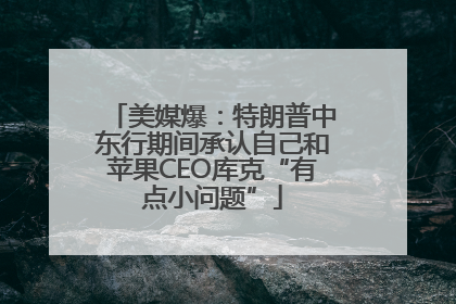 美媒爆：特朗普中东行期间承认自己和苹果CEO库克“有点小问题”