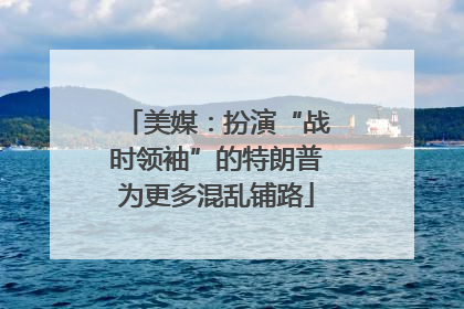 美媒：扮演“战时领袖”的特朗普为更多混乱铺路