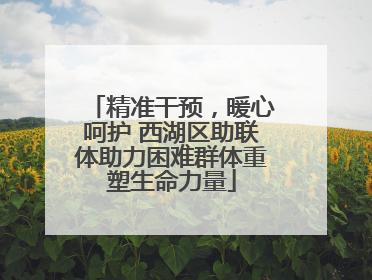 精准干预，暖心呵护 西湖区助联体助力困难群体重塑生命力量