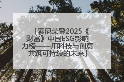 索尼荣登2025《财富》中国ESG影响力榜——用科技与创意共筑可持续的未来