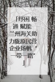 纾困 畅通 赋能 兰州海关助力陇原民营企业扬帆“一带一路”