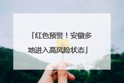 红色预警！安徽多地进入高风险状态