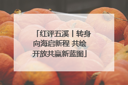 红评五溪丨转身向海启新程 共绘开放共赢新蓝图