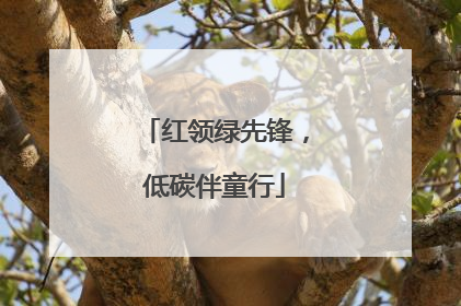 红领绿先锋，低碳伴童行