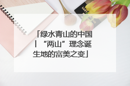 绿水青山的中国丨“两山”理念诞生地的富美之变