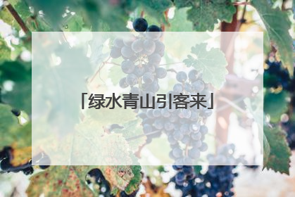 绿水青山引客来