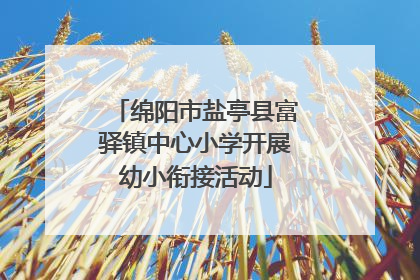 绵阳市盐亭县富驿镇中心小学开展幼小衔接活动