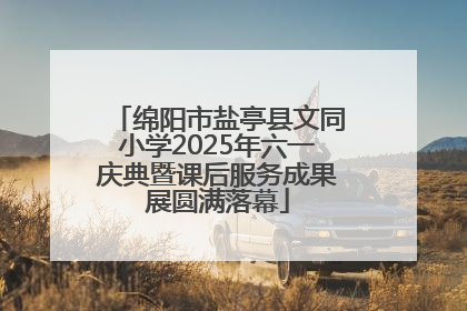 绵阳市盐亭县文同小学2025年六一庆典暨课后服务成果展圆满落幕