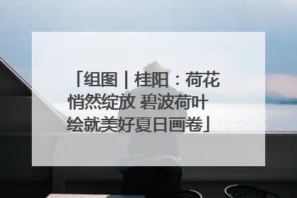 组图｜桂阳：荷花悄然绽放 碧波荷叶绘就美好夏日画卷
