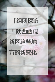 组团探访！陕西西咸新区这些地方的新变化