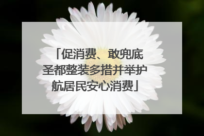 促消费、敢兜底 圣都整装多措并举护航居民安心消费