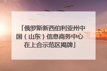 俄罗斯新西伯利亚州中国（山东）信息商务中心在上合示范区揭牌