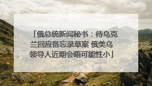 俄总统新闻秘书：待乌克兰回应备忘录草案 俄美乌领导人近期会晤可能性小