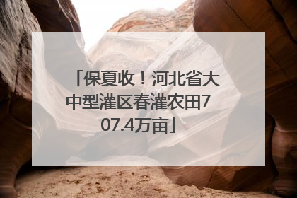 保夏收！河北省大中型灌区春灌农田707.4万亩