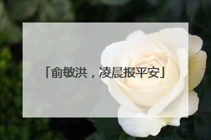 俞敏洪，凌晨报平安