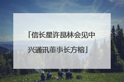 信长星许昆林会见中兴通讯董事长方榕