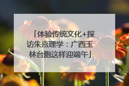 体验传统文化+探访朱熹理学：广西玉林台胞这样迎端午