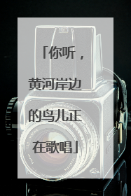 你听，黄河岸边的鸟儿正在歌唱