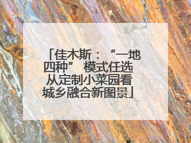佳木斯：“一地四种” 模式任选 从定制小菜园看城乡融合新图景