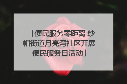 便民服务零距离 纱帽街道月亮湾社区开展便民服务日活动