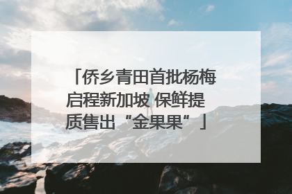 侨乡青田首批杨梅启程新加坡 保鲜提质售出“金果果”