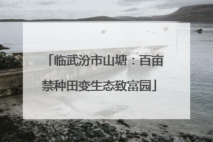 临武汾市山塘：百亩禁种田变生态致富园
