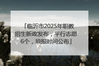临沂市2025年职教招生新政发布，平行志愿6个，填报时间公布