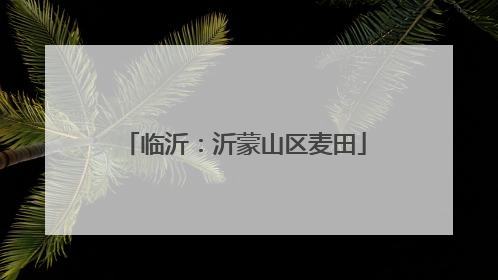 临沂：沂蒙山区麦田