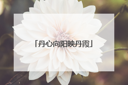 丹心向阳映丹霞
