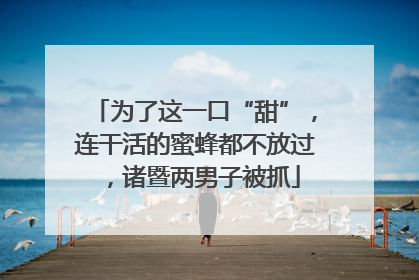 为了这一口“甜”，连干活的蜜蜂都不放过，诸暨两男子被抓