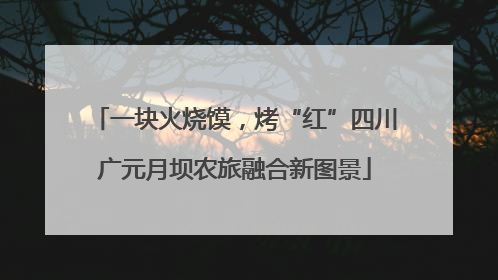 一块火烧馍，烤“红”四川广元月坝农旅融合新图景