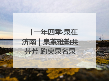 一年四季·泉在济南｜泉茶雅韵共芬芳 趵突泉名泉茗茶品鉴会举行