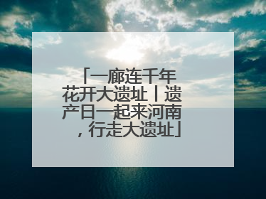 一廊连千年 花开大遗址丨遗产日一起来河南，行走大遗址