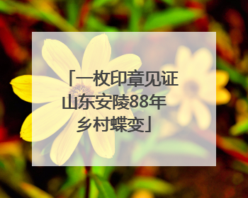 一枚印章见证山东安陵88年乡村蝶变
