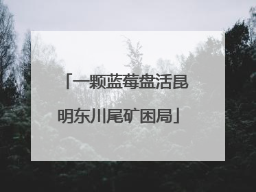 一颗蓝莓盘活昆明东川尾矿困局