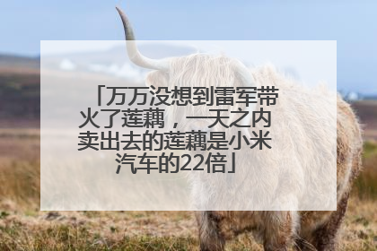 万万没想到雷军带火了莲藕，一天之内卖出去的莲藕是小米汽车的22倍