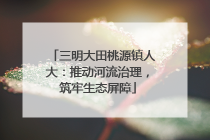 三明大田桃源镇人大：推动河流治理，筑牢生态屏障