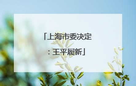 上海市委决定：王平履新