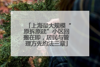 上海最大规模“原拆原建”小区回搬在即，居民与管理方先约法三章