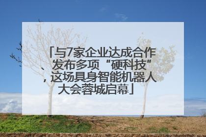 与7家企业达成合作、发布多项“硬科技”，这场具身智能机器人大会蓉城启幕