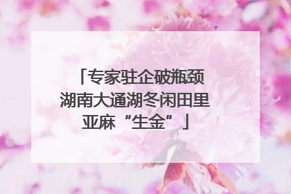 专家驻企破瓶颈 湖南大通湖冬闲田里亚麻“生金”
