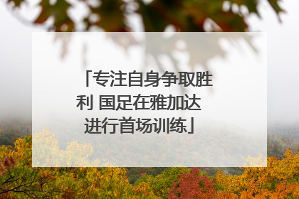 专注自身争取胜利 国足在雅加达进行首场训练