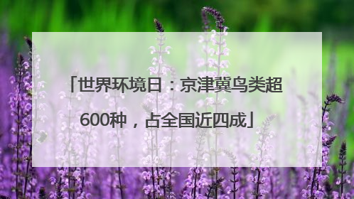 世界环境日：京津冀鸟类超600种，占全国近四成