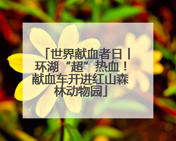 世界献血者日丨环湖“超”热血！献血车开进红山森林动物园
