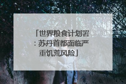世界粮食计划署：苏丹首都面临严重饥荒风险