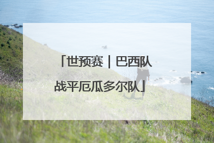 世预赛｜巴西队战平厄瓜多尔队