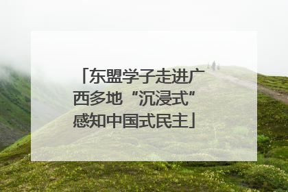 东盟学子走进广西多地“沉浸式”感知中国式民主