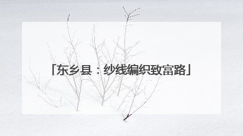 东乡县：纱线编织致富路