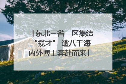 东北三省一区集结“揽才” 逾八千海内外博士奔赴而来